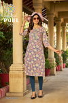 Pahel Vol 2 By Passion Tree Cotton Printed Straight Wholesale Kurti In India